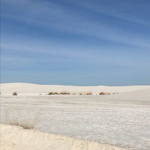 Meet your Posher, Dustee